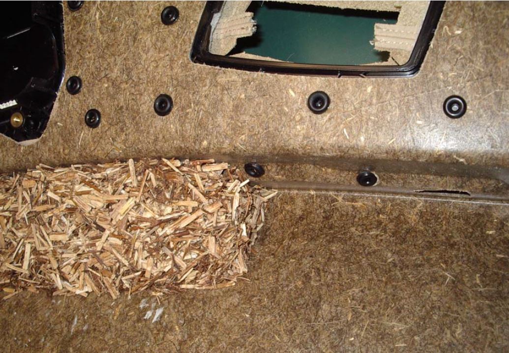 Innenverkleidungsteil mit partieller Versteifung durch Hopfenschäben Innenverkleidungsteil mit partieller Versteifung durch Hopfenschäben